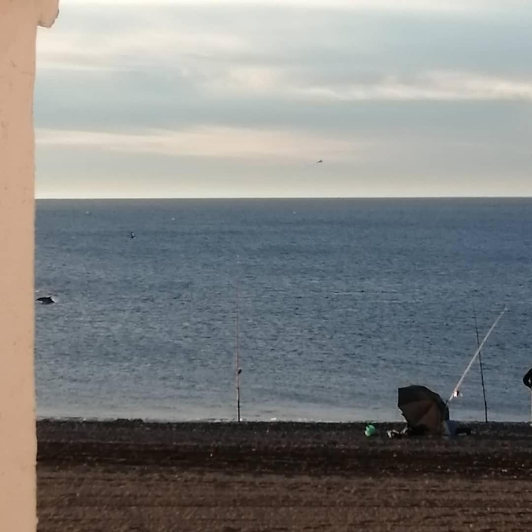 Sea Shells At Bahia Dorada Villa Estepona Bilik gambar